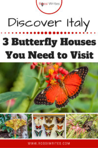 Pin Me - 3 Butterfly Houses (and One Insect Museum) You Need to Visit in Northern Italy - www.rossiwrites.com