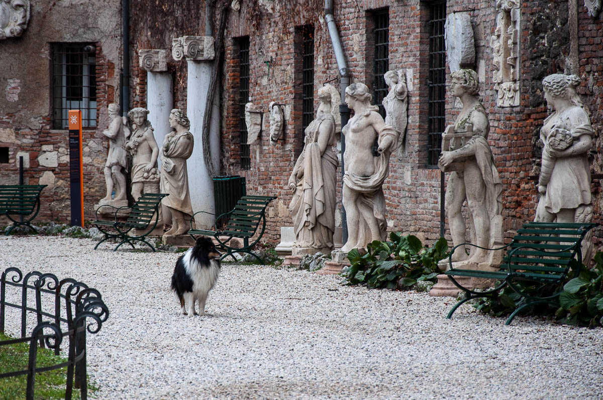 Appreciating art - Garden of Teatro Olimpico - Vicenza, Veneto, Italy - rossiwrites.com