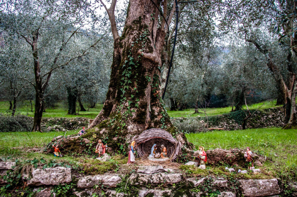 Nativity scene in an olive grove - Campo di Brenzone, Lake Garda, Veneto, Italy - rossiwrites.com