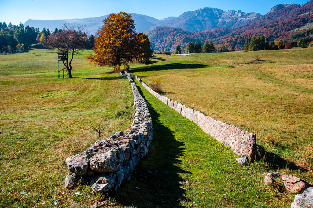 The hiking path with the Dolomites in the background - Excalibur Hike, Tonezza del Cimone, Veneto, Italy - rossiwrites.com