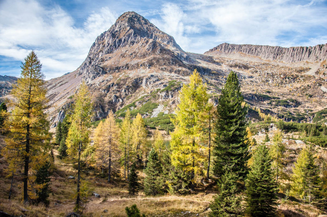 Paneveggio - Exploring the Violins' Forest in the Dolomites, Italy