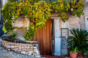 A picturesque door with a terrace - San Giorgio di Valpolicella - Province of Verona, Veneto, Italy - rossiwrites.com