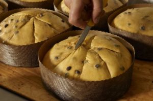 Scoring the panettones by hand - Loison