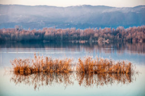 View of Lake Camazzole - Province of Padua, Veneto, Italy - rossiwrites.com