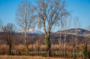 View of the mountains from the Quartiere di Maddalene - Vicenza, Veneto, Italy - rossiwrites.com