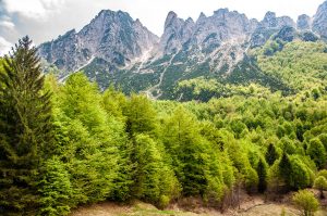 A view of lush forests and rocky peaks in the Little Dolomites - Sentiero dei Grandi Alberi - Province of Vicenza, Veneto, Italy - rossiwrites.com