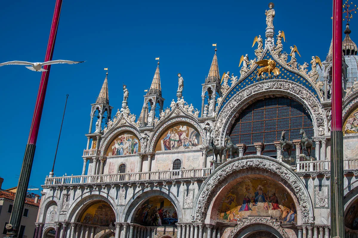 Basilica San Marco with a seagull- Venice, Italy - rossiwrites.com