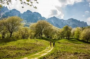 Hikers in the Little Dolomites - Sentiero dei Grandi Alberi - Province of Vicenza, Veneto, Italy - rossiwrites.com
