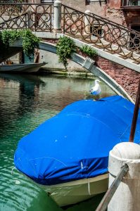 Seagull on a boat - Venice, Italy - rossiwrites.com