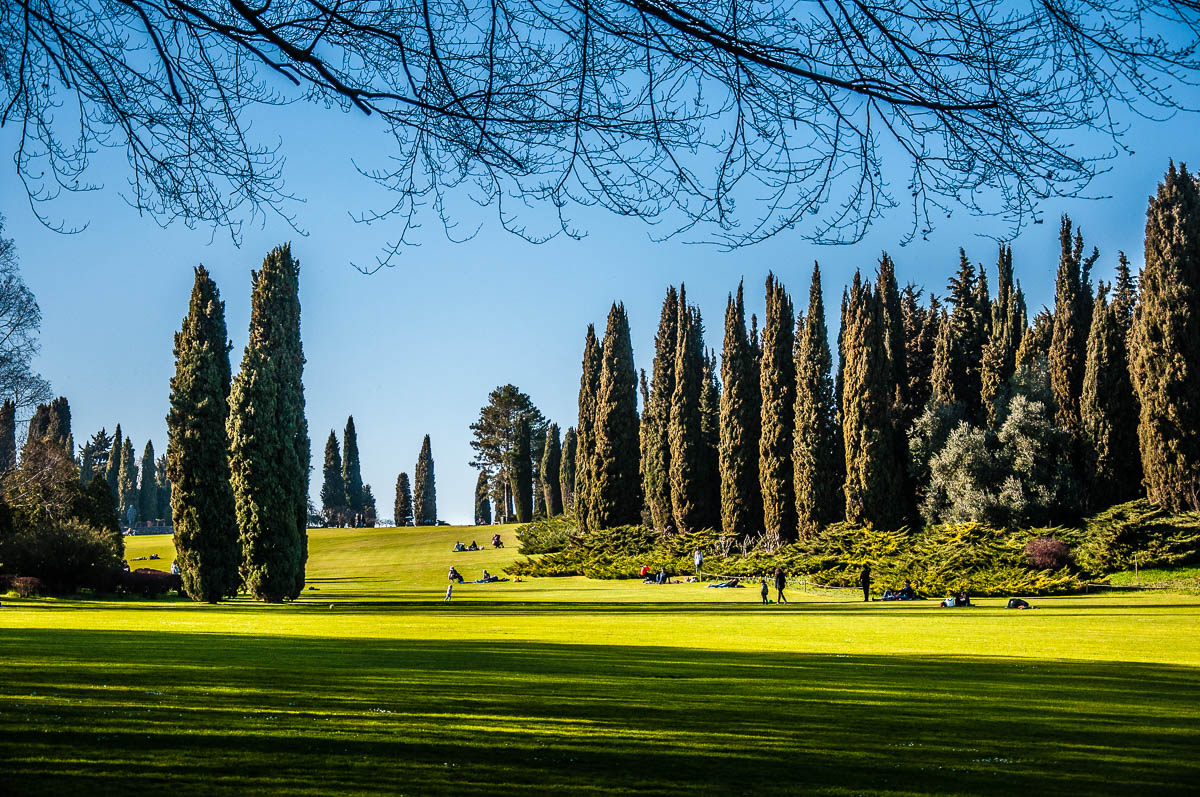 The Great Lawn - Parco Giardino Sigurta' - Valeggio sul Mincio, Veneto, Italy - rossiwrites.com
