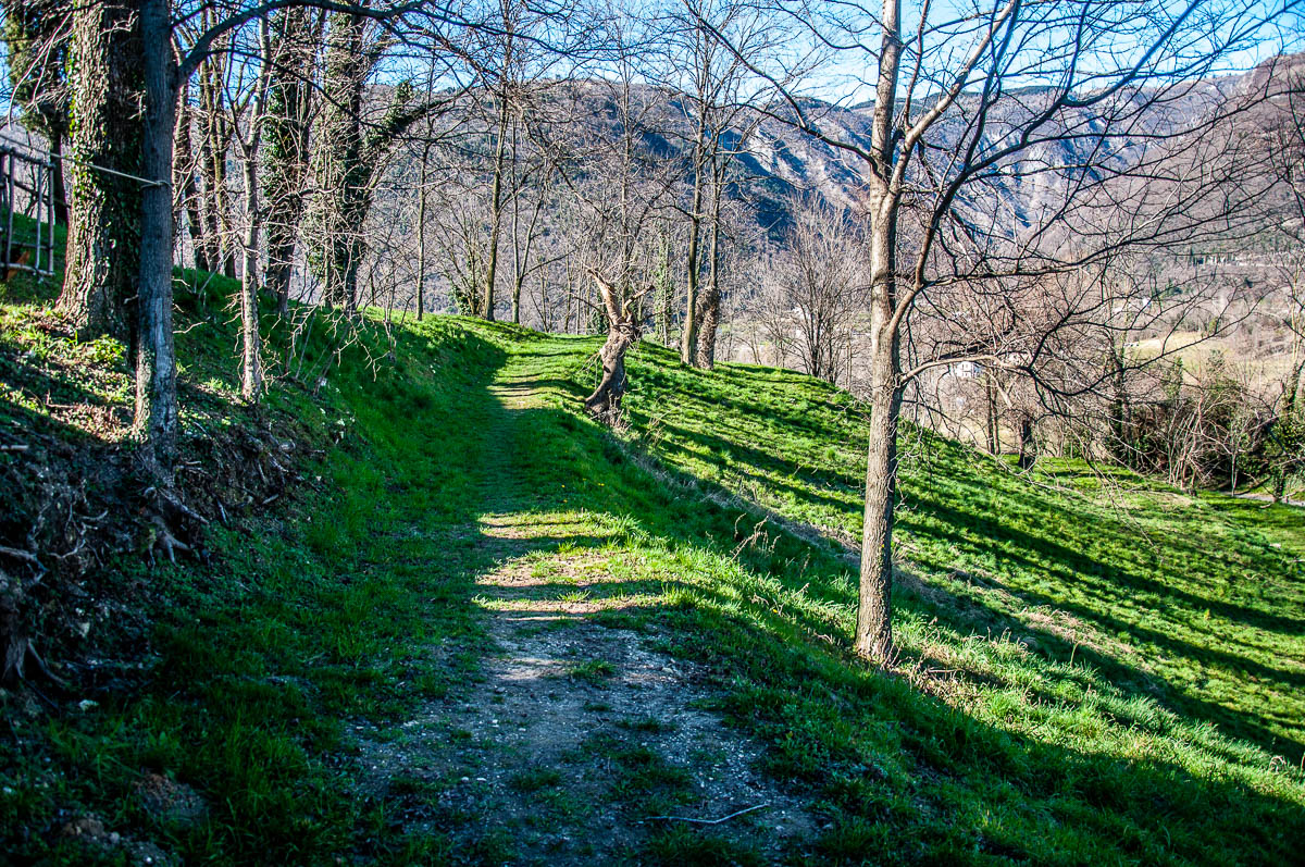 The hilltop path - Dante's Hill - Col Bastia - Romano d'Ezzelino, Veneto, Italy - rossiwrites.com