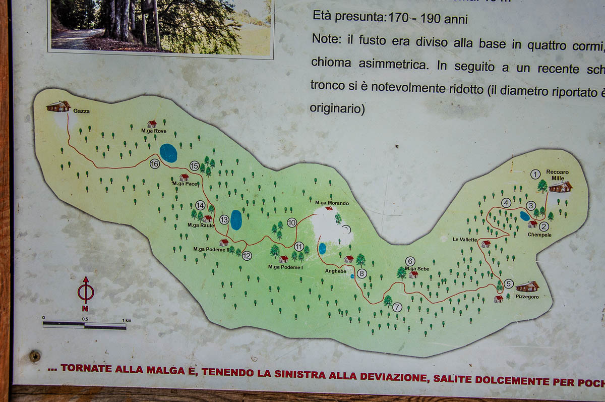The map of the hike - Sentiero dei Grandi Alberi - Province of Vicenza, Veneto, Italy - rossiwrites.com
