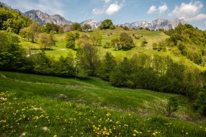 View of the Little Dolomites from Casare Asnicar - Sentiero dei Grandi Alberi - Province of Vicenza, Veneto, Italy - rossiwrites.com