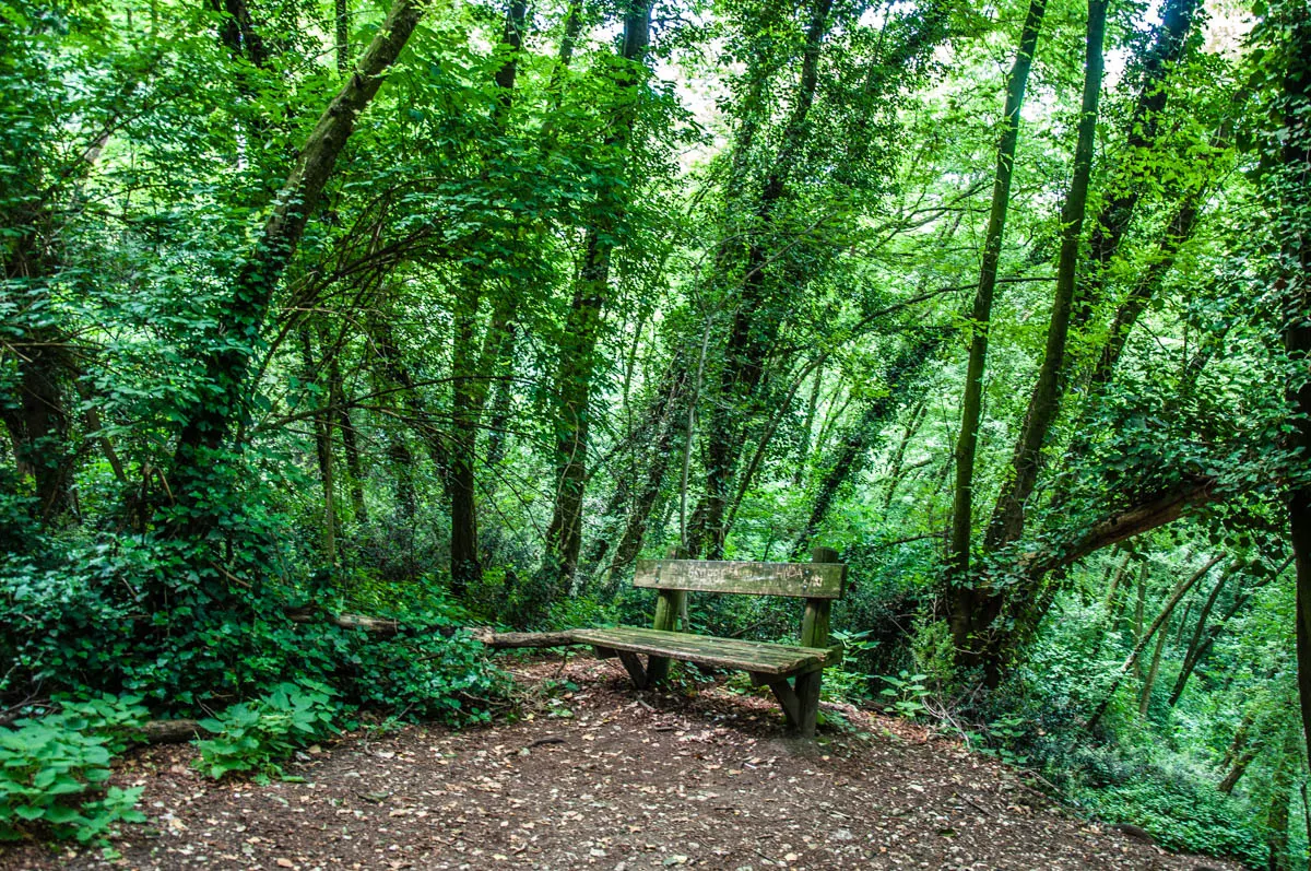 A bench in a clearing along the path - Rocca di Garda, Lake Garda, Italy - rossiwrites.com