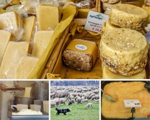 Italian Cheeses - 10 Unmissable Cheese Experiences in the Veneto, Northern Italy - rossiwrites.com