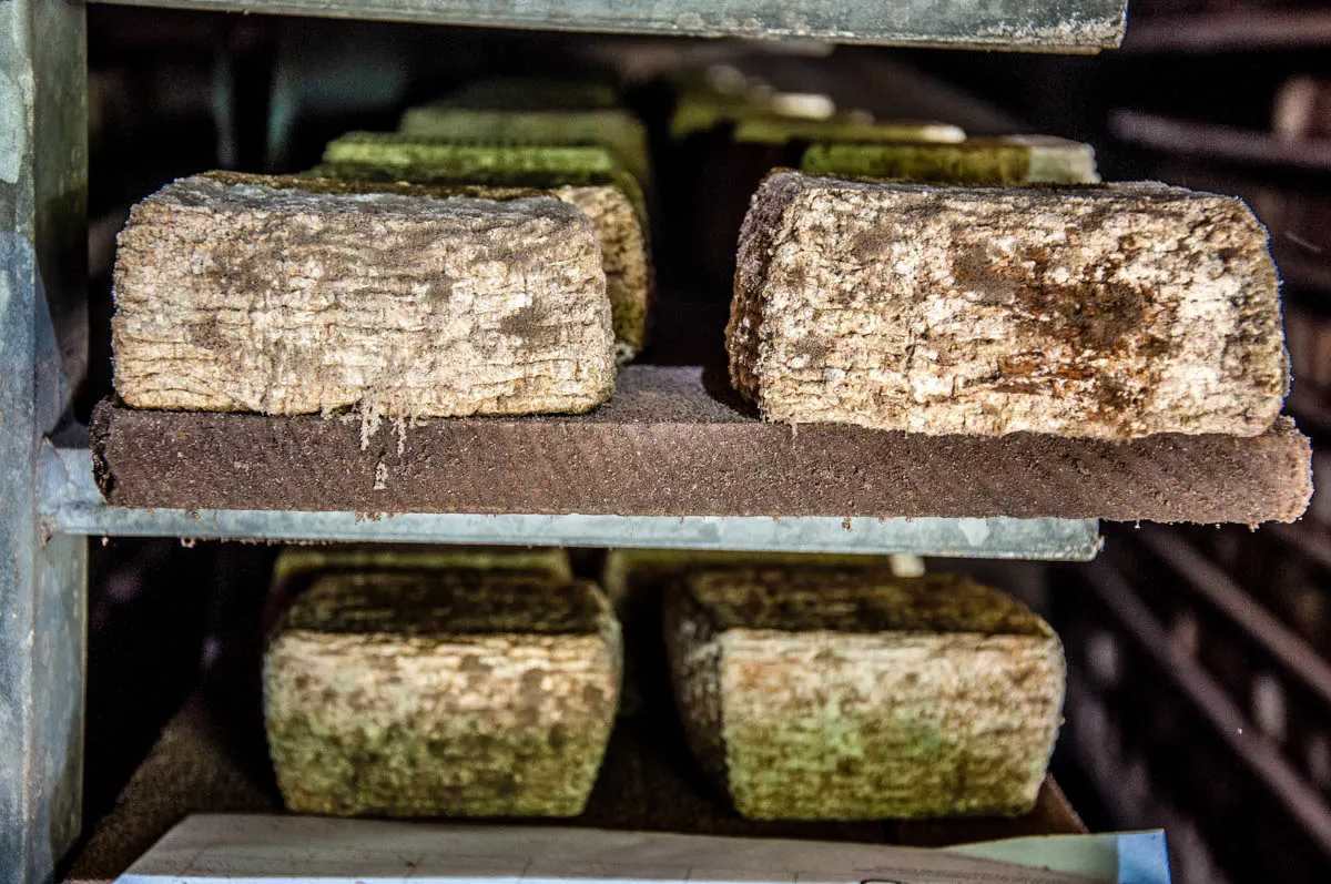 The Cheese Cave - Grotta di San Lucio - Grotte di Caglieron, Fregona, Veneto, Italy - www.rossiwrites.com