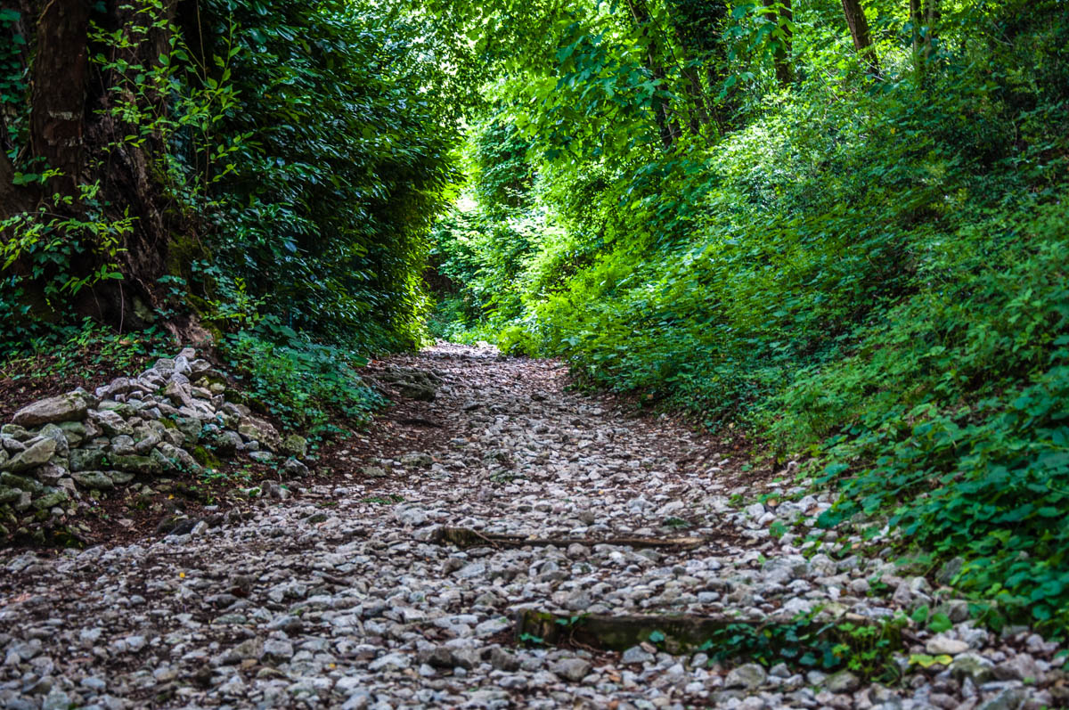 The start of the gravel path of the hike - Rocca di Garda, Lake Garda, Italy - rossiwrites.com
