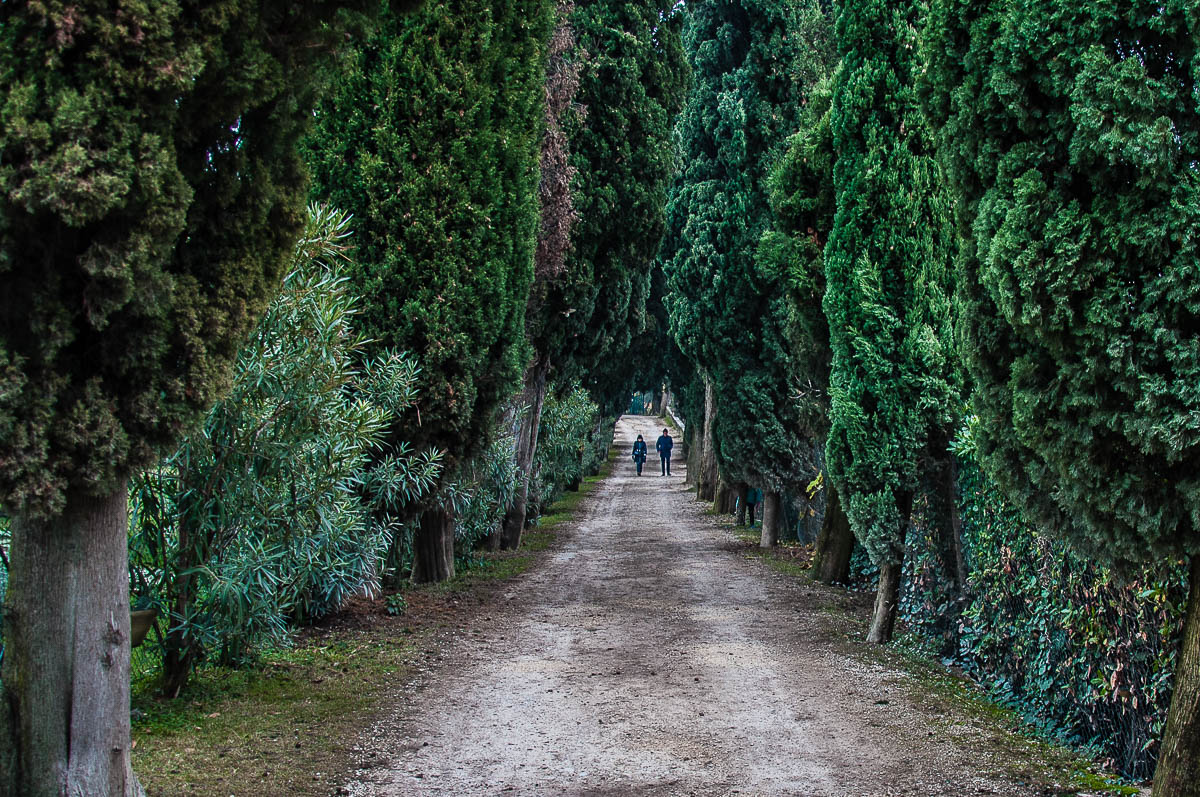The Cypress Avenue - Punta di San Vigilio - Lake Garda, Italy - rossiwrites.com