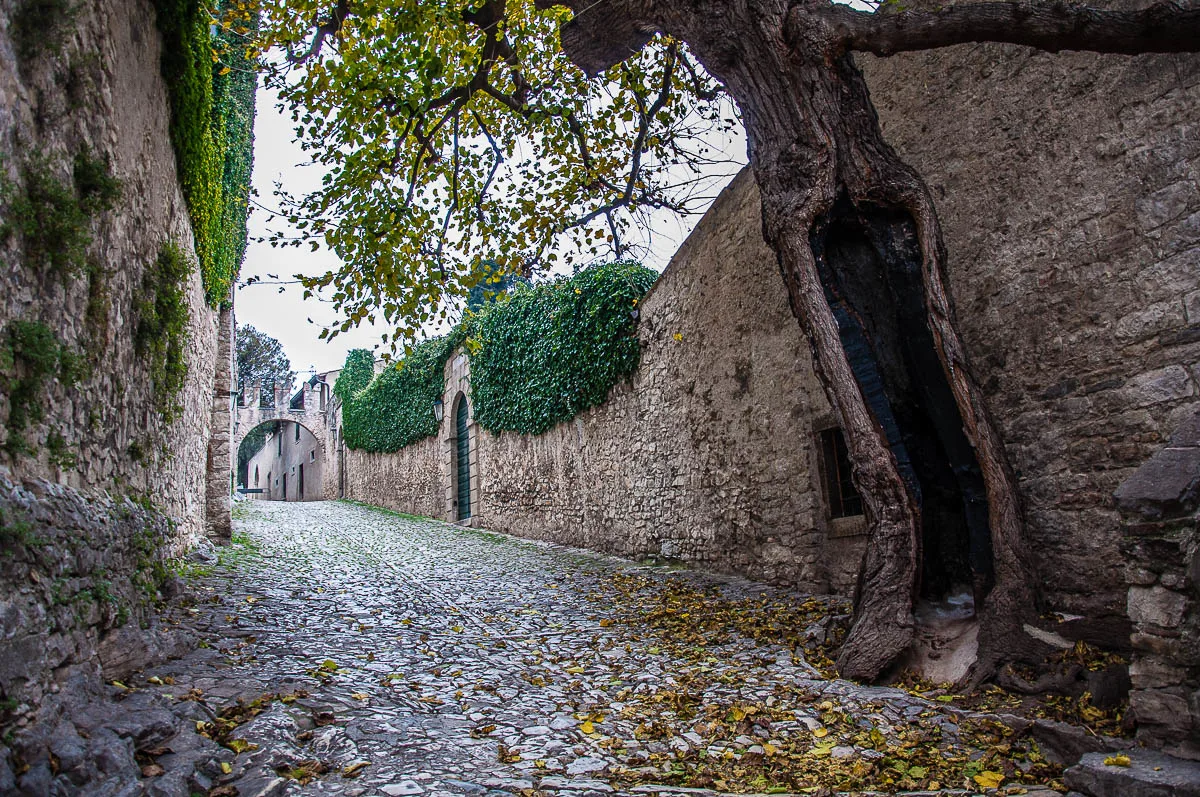 The cobbled street with the thick defensive wall and a hollowed tree - Punta di San Vigilio - Lake Garda, Italy - rossiwrites.com