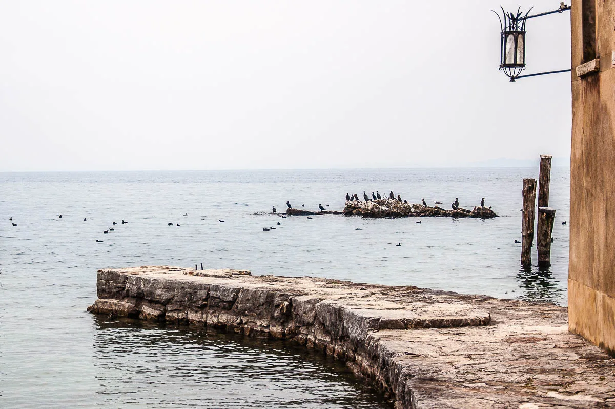 The outcrop with the cormorants seen from the harbour - Punta di San Vigilio - Lake Garda, Italy - rossiwrites.com