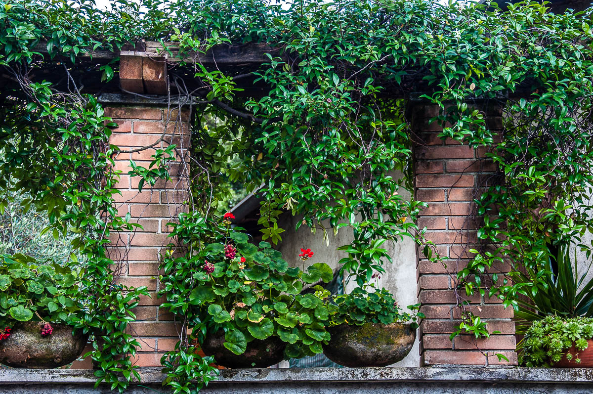 Pots with plants - Nesso, Lake Como, Italy - rossiwrites.com