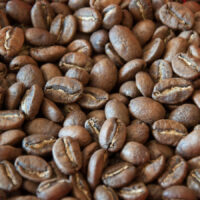 Five Curious Facts about Coffee - Story - rossiwrites.com