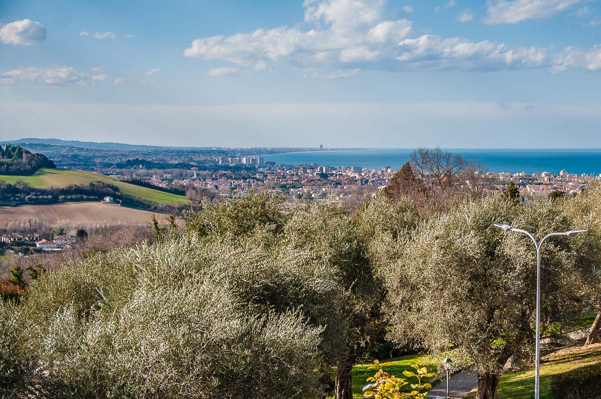 The olive grove with the view from the hilltop - Gradara, Italy - rossiwrites.com