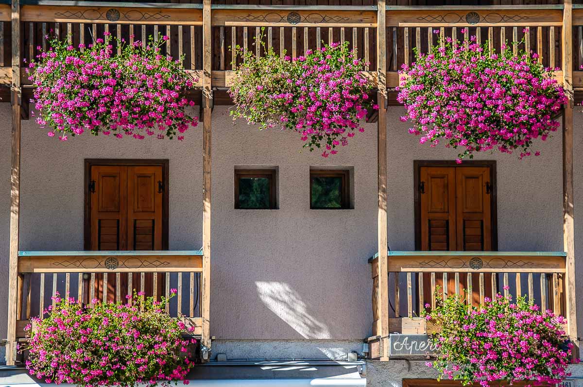 Balconies dripping with blooming flowers in Fiera di Primiero - Trentino, Italy - rossiwrites.com
