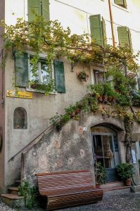 An old house with a lush vine in the historic centre - Malcesine, Italy - rossiwrites.com