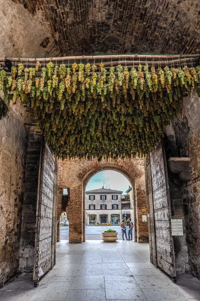 A medieval gate decorated with bunches of grapes for the Festa dell'Uva in the town of Soave - Veneto, Italy - rossiwrites.com