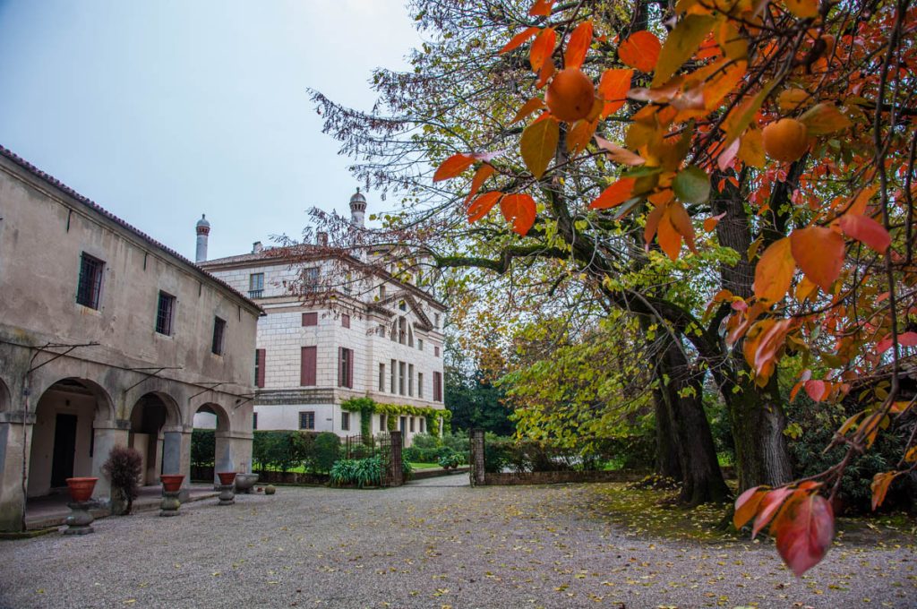 View of Villa Foscari La Malcontenta with sharon fruits - Mira, Veneto, Italy - rossiwrites.com