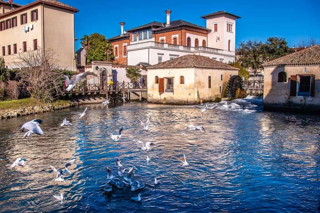 The 12th-century mills in the town of Portogruaro - Veneto, Italy - rossiwrites.com