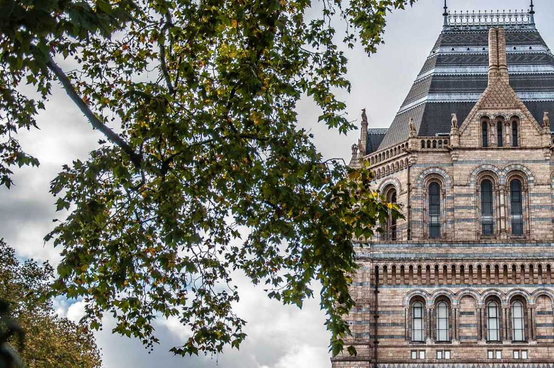 South Kensington Museums in London - How to Visit and What to See