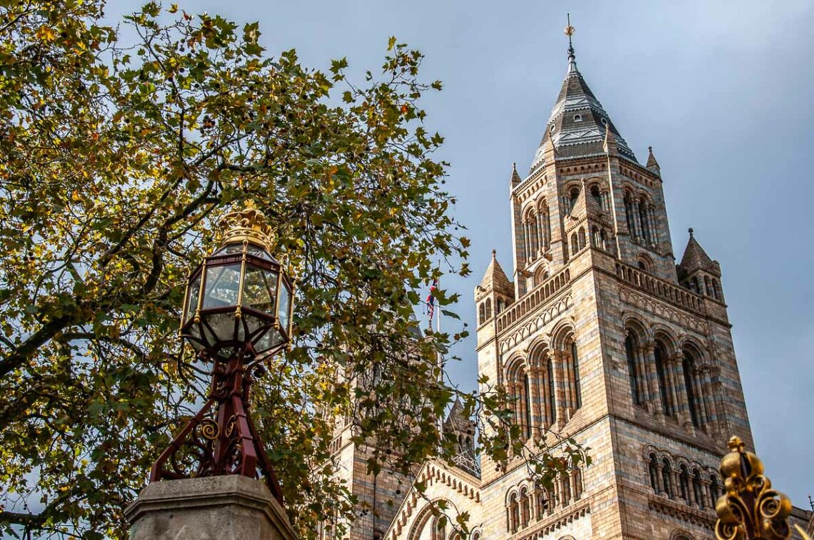 South Kensington Museums in London - How to Visit and What to See