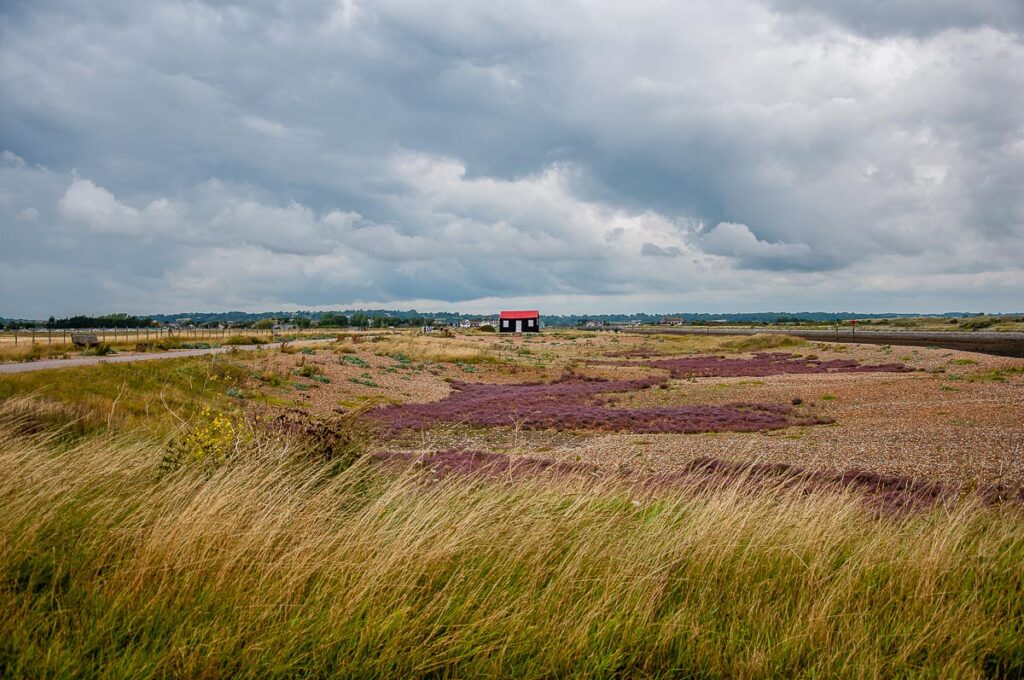 Little Red - a historic red roofed hut - Rye Harbour Nature Reserve, England - rossiwrites.com