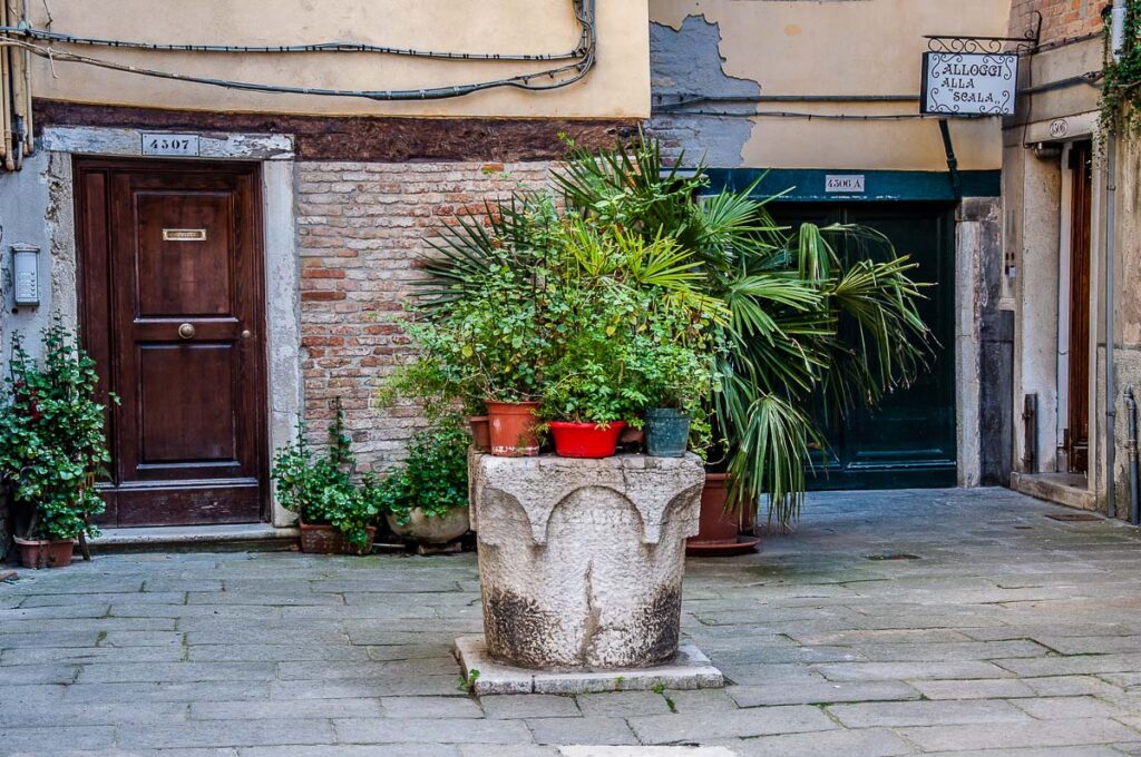 Small courtyard with a well covered with potted plants - Venice, Italy - rossiwrites.com
