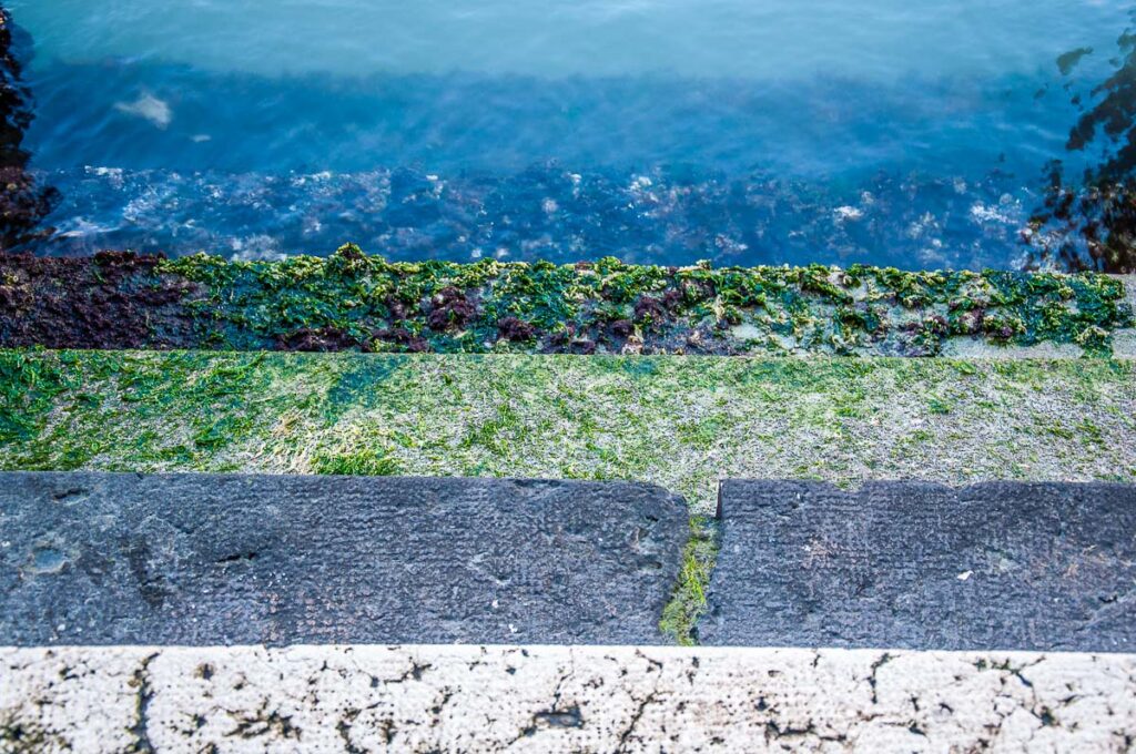 The proverbial green steps - Venice, Italy - rossiwrites.com