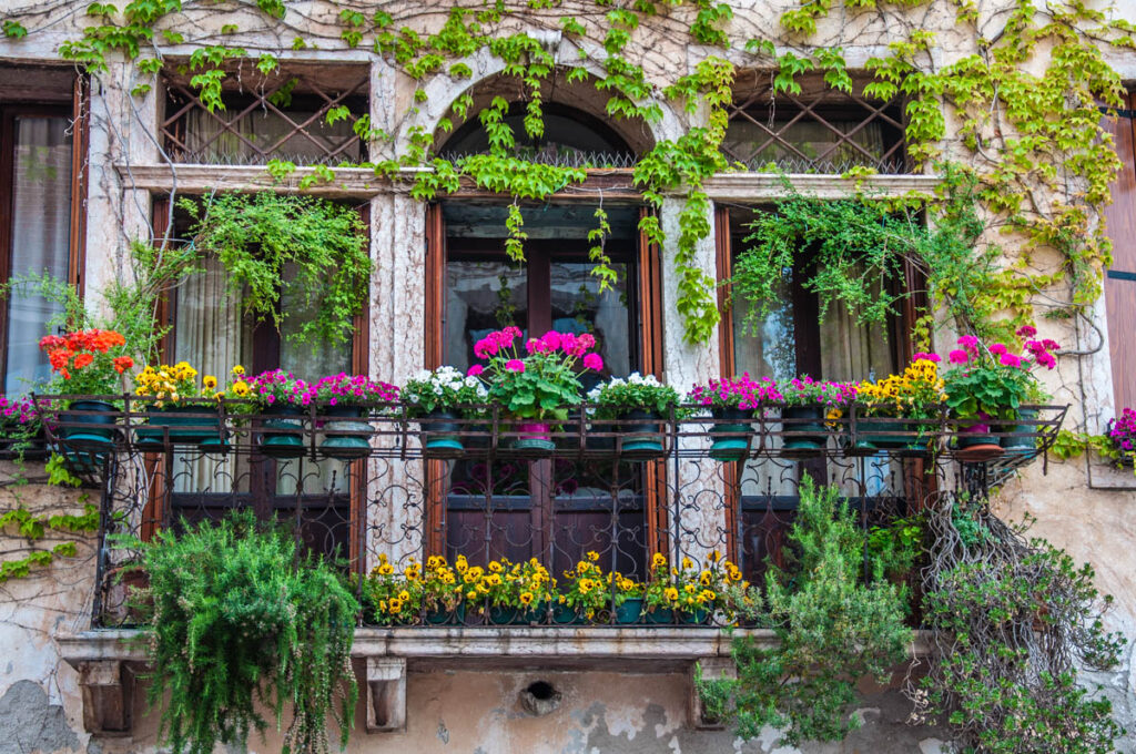 Balcony decorated with potted plants and creeper plants - Marostica, Italy - rossiwrites.com