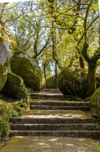 A path surrounded by boulders on the Serra da Penha - Guimaraes, Portugal - rossiwrites.com