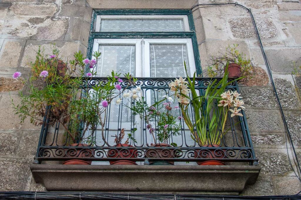 Balcony with blooming potted plants in the historic centre - Guimarães, Portugal - rossiwrites.com