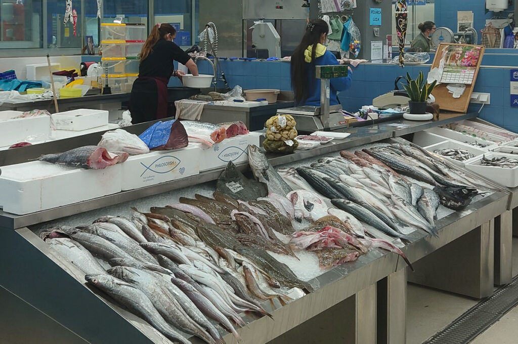 Fish stall in the temporary Bolhao market - Porto, Portugal - rossiwrites.com