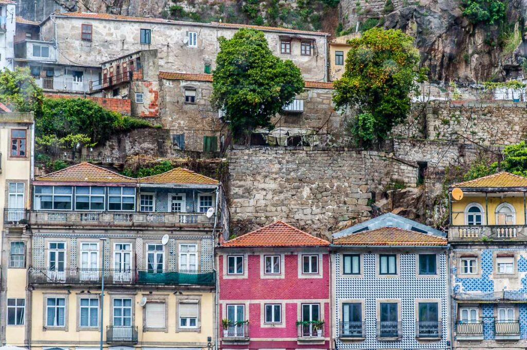 Historic houses covered with azulejos and orange trees covered in ripe fruit - Porto, Portugal - rossiwrites.com