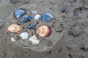 Seashells on the beach - Caorle, Italy - rossiwrites.com