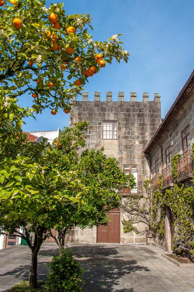 View of Largo dos Laranjais with an orange tree covered with fruit - Guimarães, Portugal - rossiwrites.com