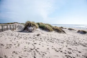 Boardwalks and sand dunes on the beaches of Costa Nova, Aveiro, Portugal - rossiwrites.com