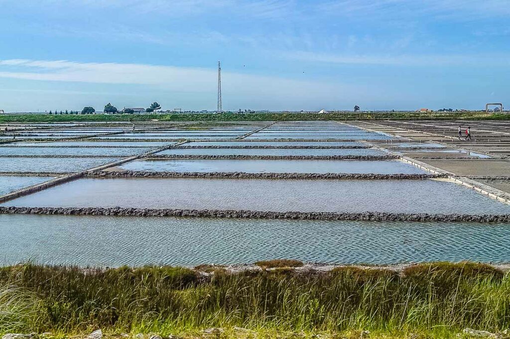 The salt flats - Aveiro, Portugal - rossiwrites.com