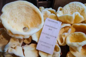 Sea sponges in the Diving Museum on the island of Krapanj in the Sibenik Archipelago - Dalmatia, Croatia - rossiwrites.com
