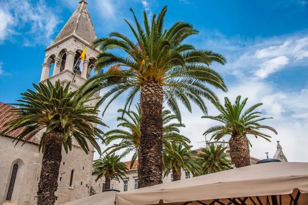 The Monastery of St. Dominic with the palm trees fringing the town's promenade - Trogir, Croatia - rossiwrites.com