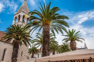 The Monastery of St. Dominic with the palm trees fringing the town's promenade - Trogir, Croatia - rossiwrites.com