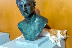 Sleeping cat in Herculaneum - Naples, Italy - rossiwrites.com
